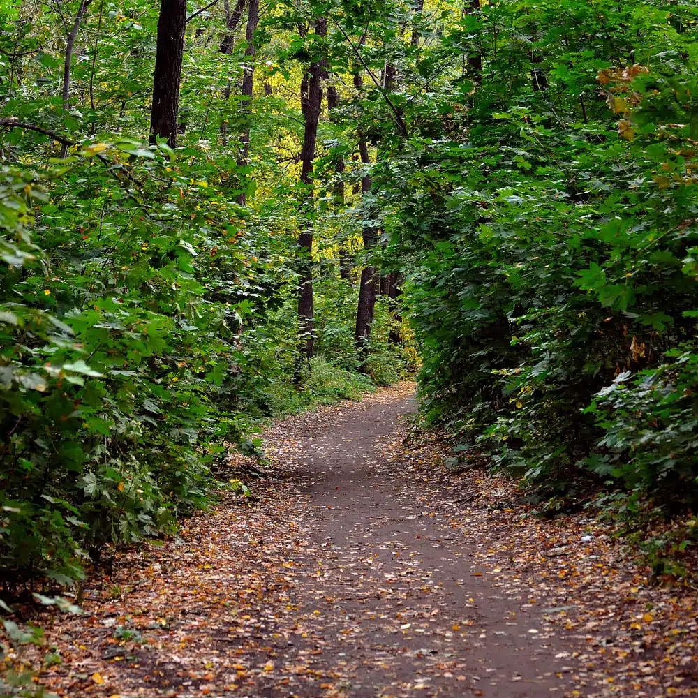 How adventure camps teach kids about the environment