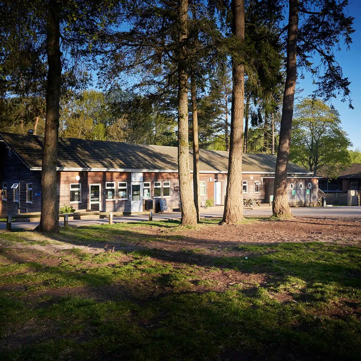 A serene park setting with tall trees and a single-story building, featuring multiple windows and a clear blue sky.