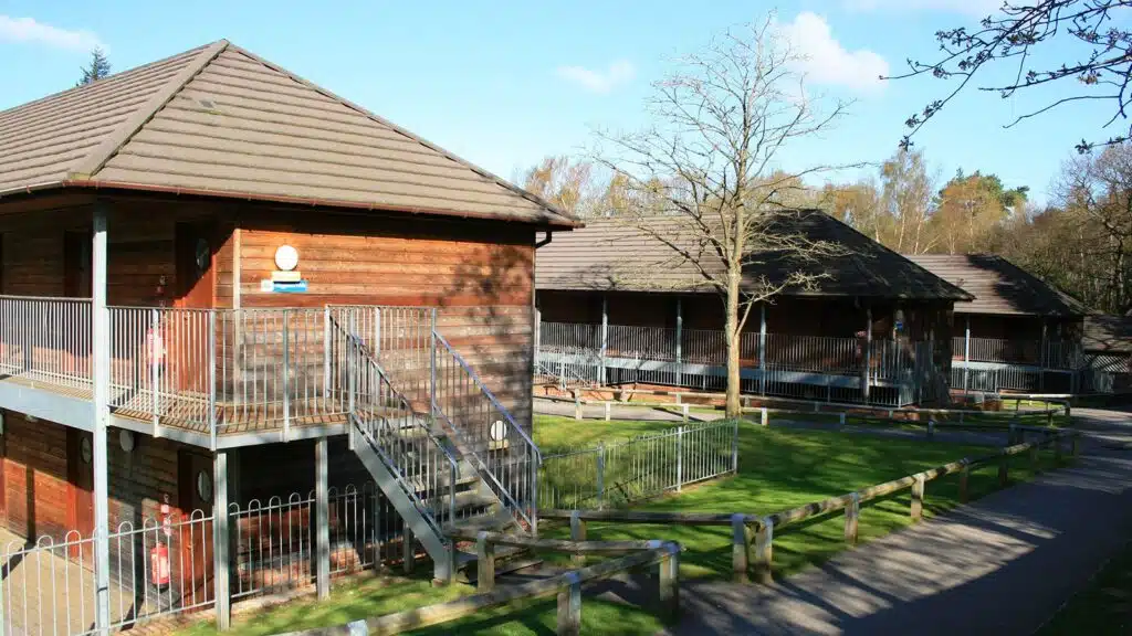 Two wooden cabins with balconies and stairs, surrounded by trees and a green lawn under a clear sky.