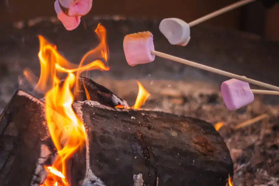 Several marshmallows roasting on sticks over a glowing campfire with visible flames and embers.