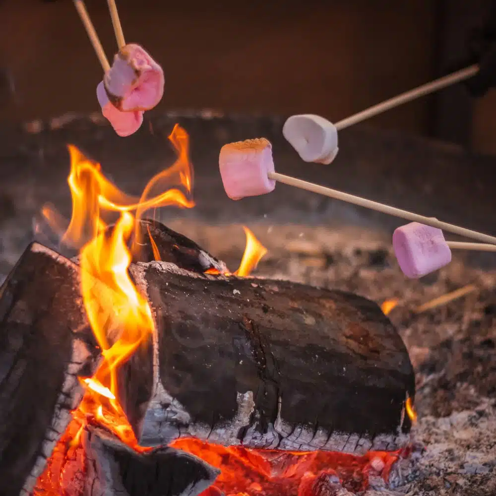 Tasty campfire treats at PGL