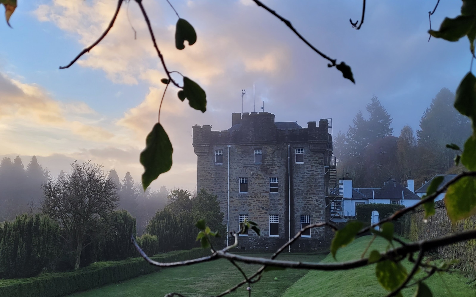 Multi-Activity, Dalguise