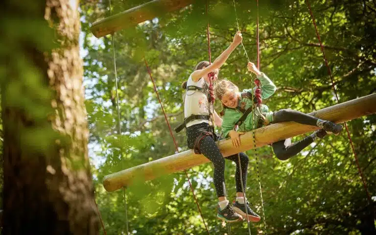 Two children wearing safety harnesses playfully navigate a multi-activity ropes course among trees on a sunny day.