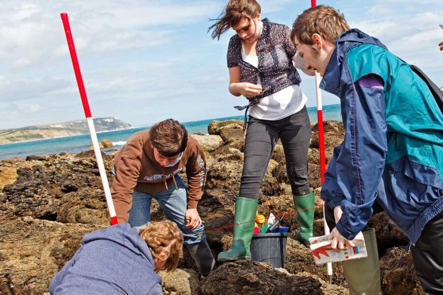 Group of people examining marine life in a rocky tidal pool with buckets and nets, coastal landscape in the background.