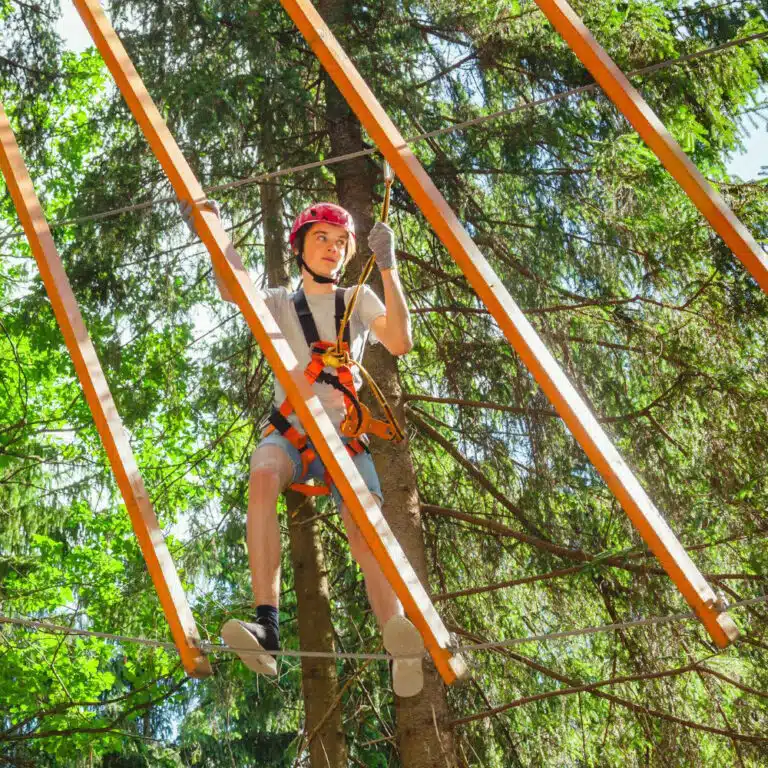 Treetop Adventure – Accroche toi aux branches