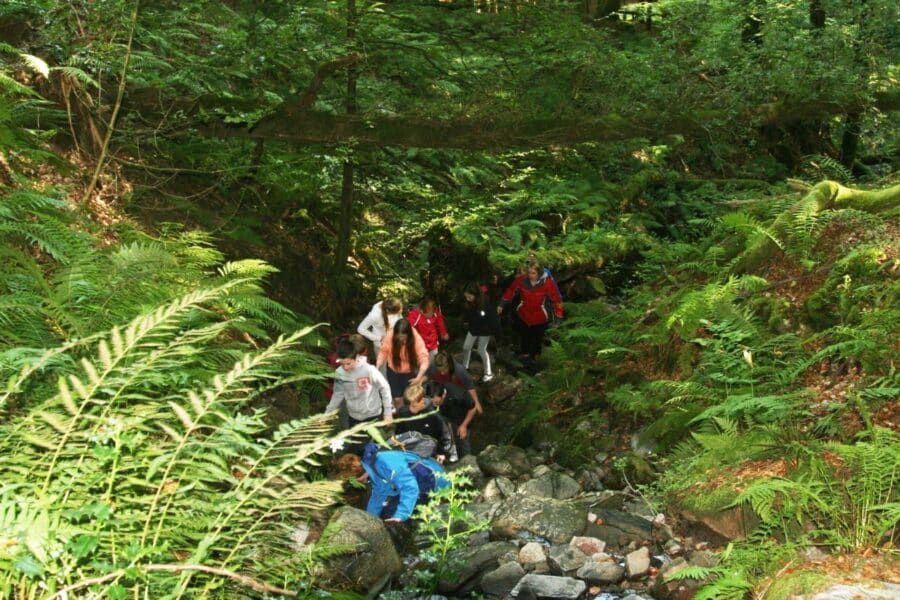 A group of people is hiking through a dense forest with lush greenery, ferns, and rocks underfoot. Some are climbing over rocks while others walk along the uneven terrain.