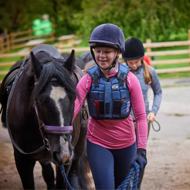 Pony Improver