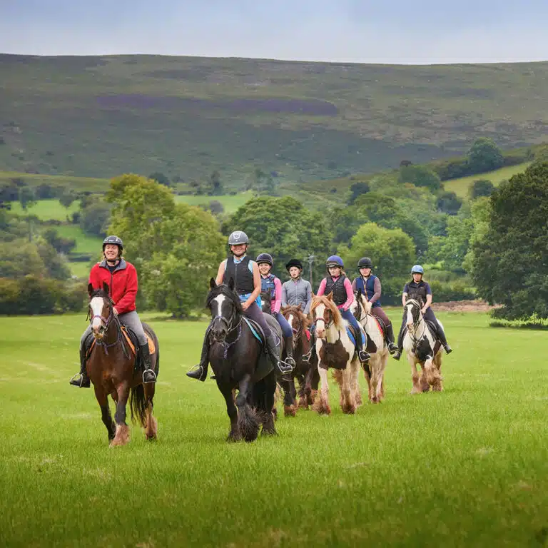 A group of 7 people wearing helmets are horseback riding in a green field with hills and trees in the background, enjoying their PGL Adventure Holidays.