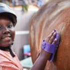 child grooming a horse