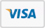 VISA logo