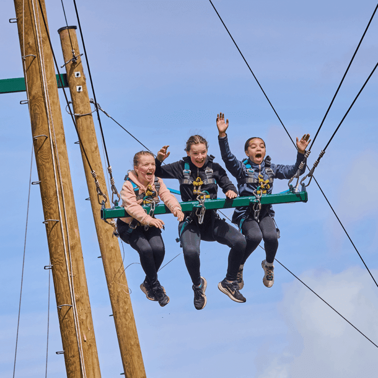 Three children wearing harnesses sit on a suspended swing, smiling and raising their hands, with blue sky and wooden poles visible in the background.