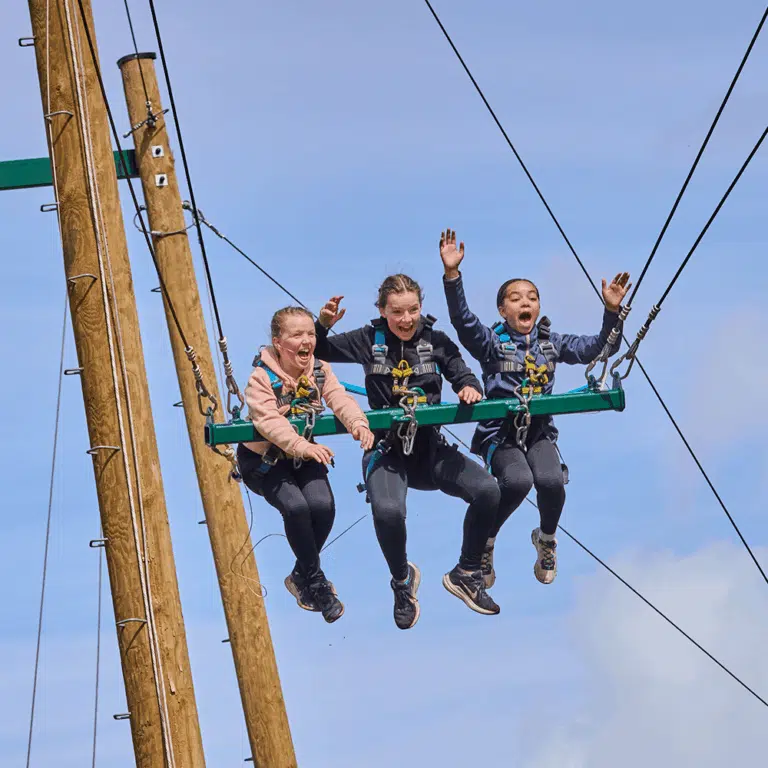 Three children wearing harnesses sit on a suspended swing, smiling and raising their hands, with blue sky and wooden poles visible in the background.