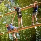 Three people wearing harnesses balance on suspended wooden beams at the Cool Science event, Liddington – Jul 20, 2024, navigating a high ropes course among the trees.