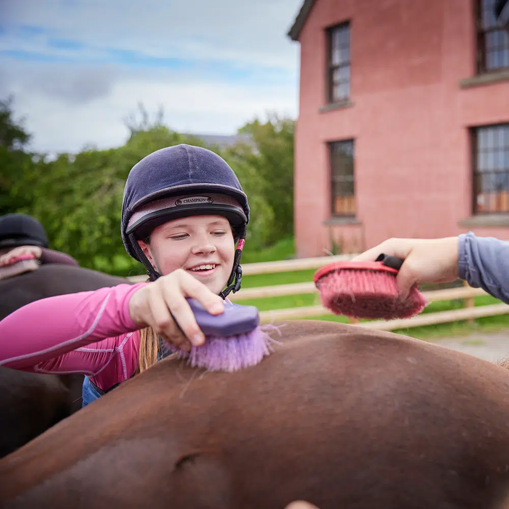 A girl in a helmet smiles while brushing a horse with a purple brush, with another person using a red brush nearby. A red building is visible in the background.