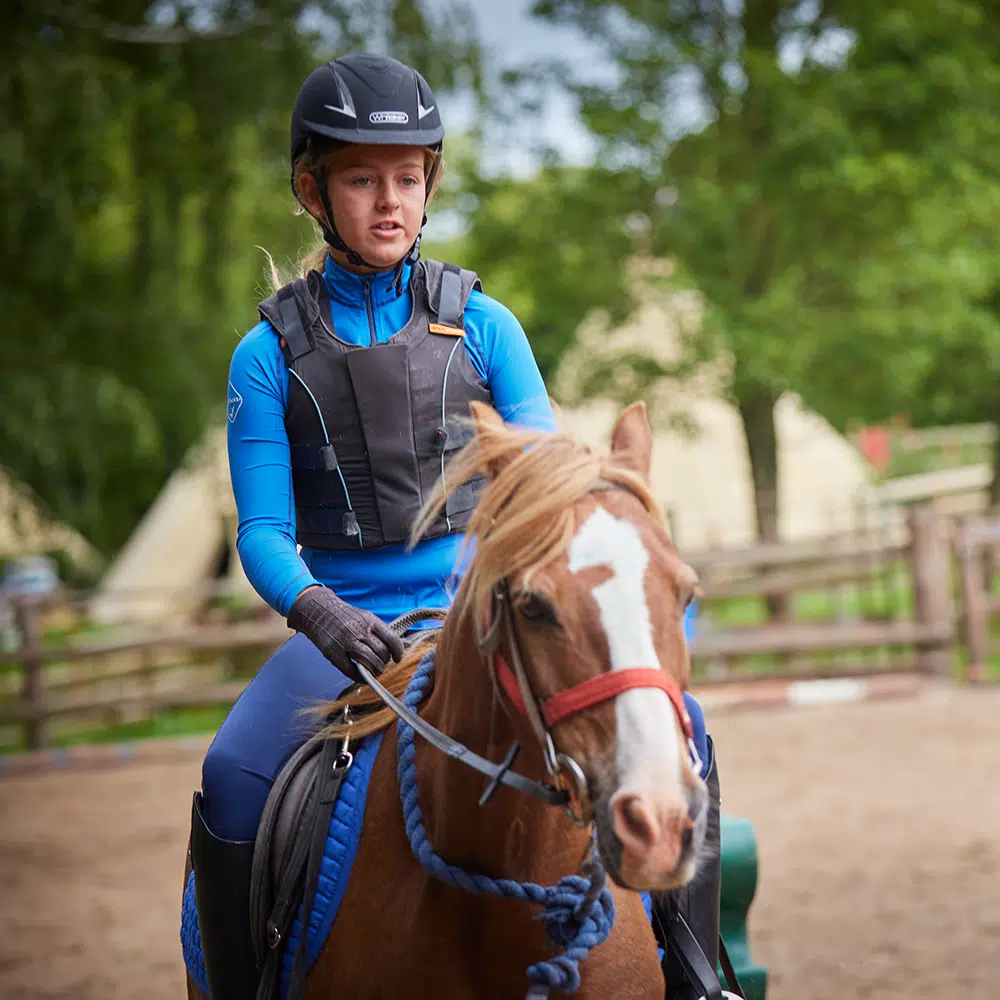 A person wearing a helmet and vest rides a brown horse with a red bridle in an outdoor riding arena with trees and fencing in the background.